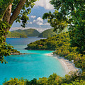 Trunk Bay
