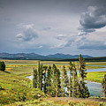 Hayden Valley